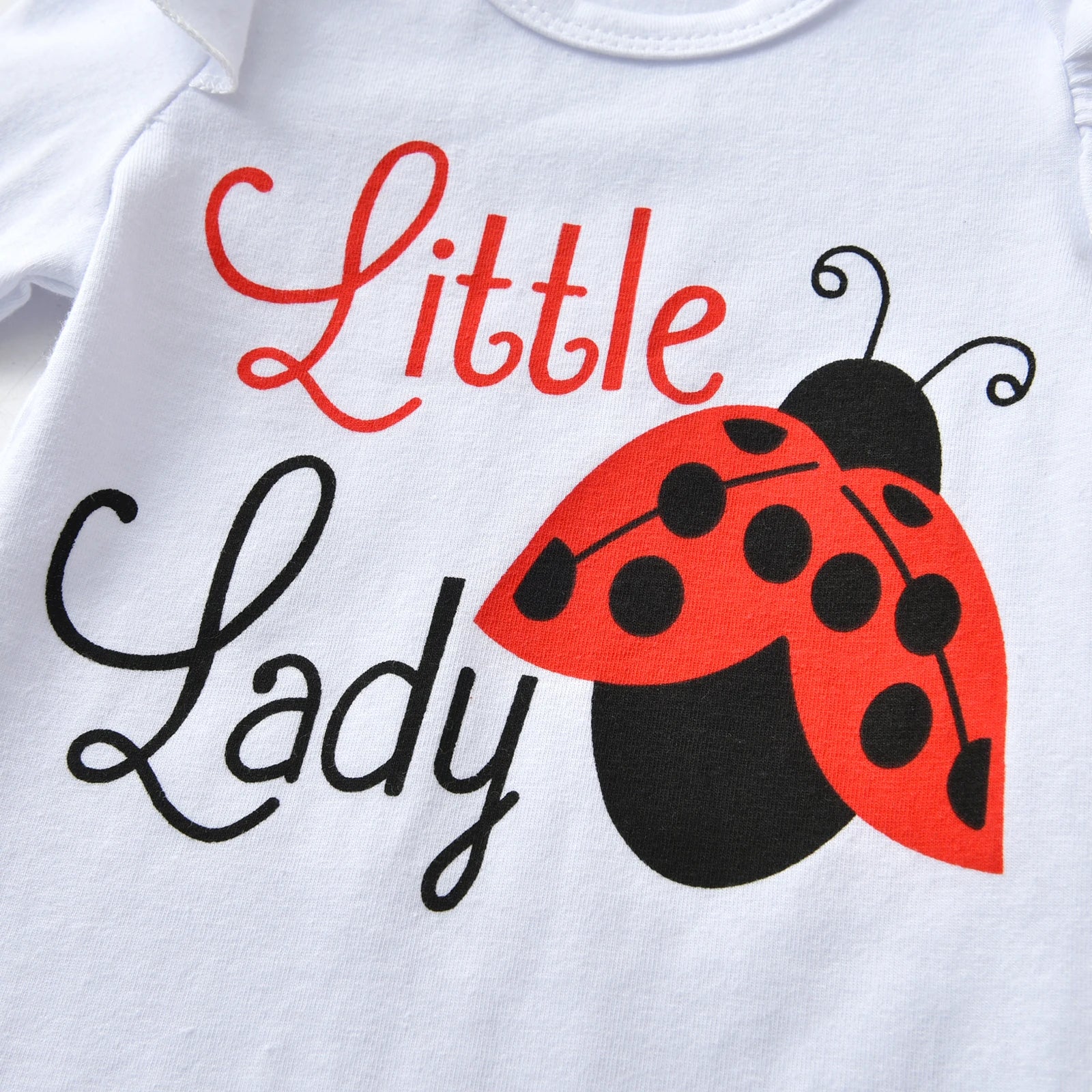 Wrapped in Love Ladybug Set | LibrasLuxury