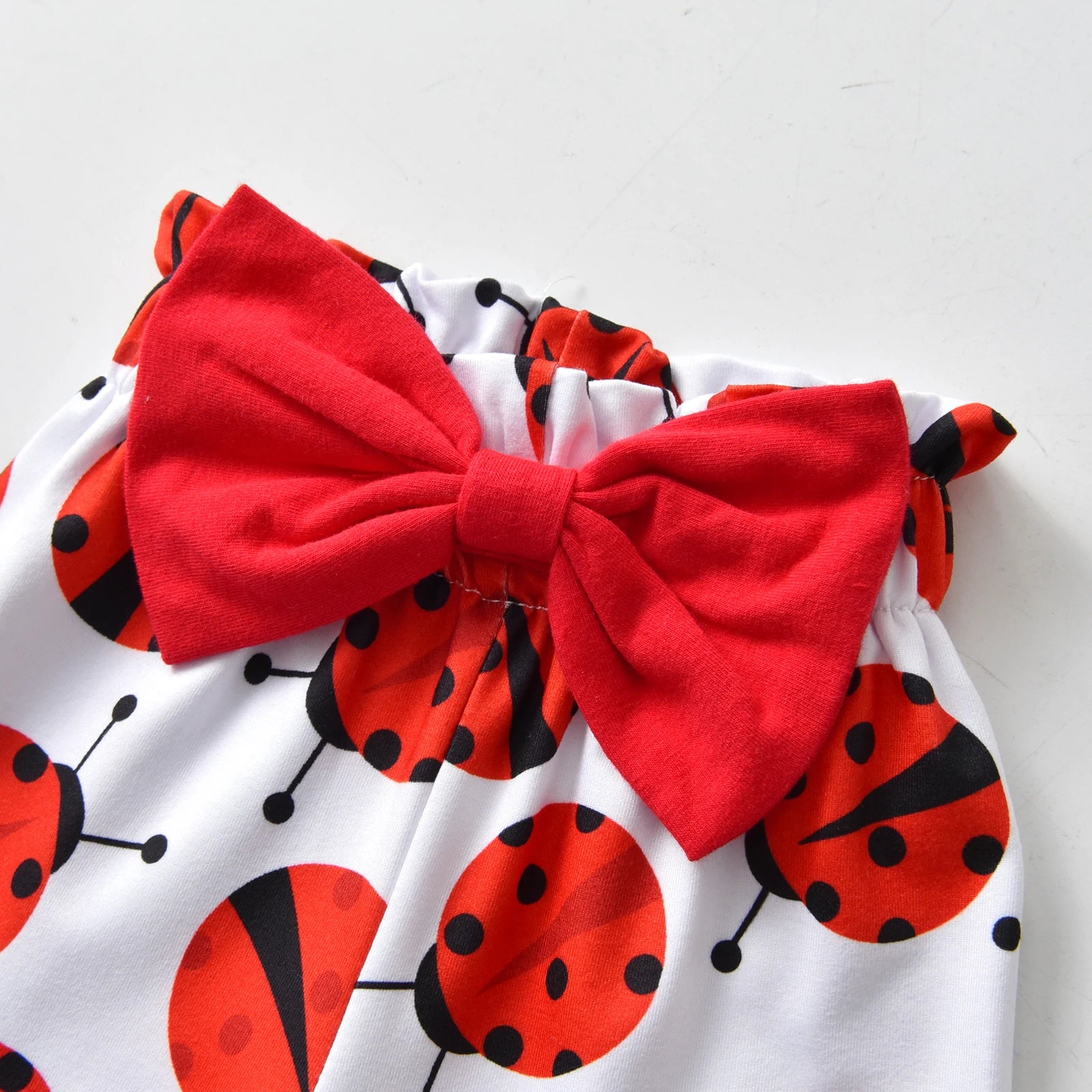 Wrapped in Love Ladybug Set | LibrasLuxury